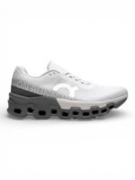 Cloudmonster 2 'Frost Rock'